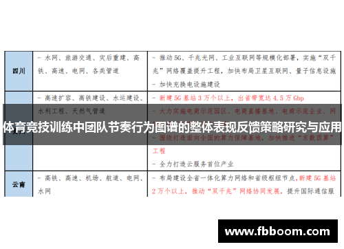 体育竞技训练中团队节奏行为图谱的整体表现反馈策略研究与应用